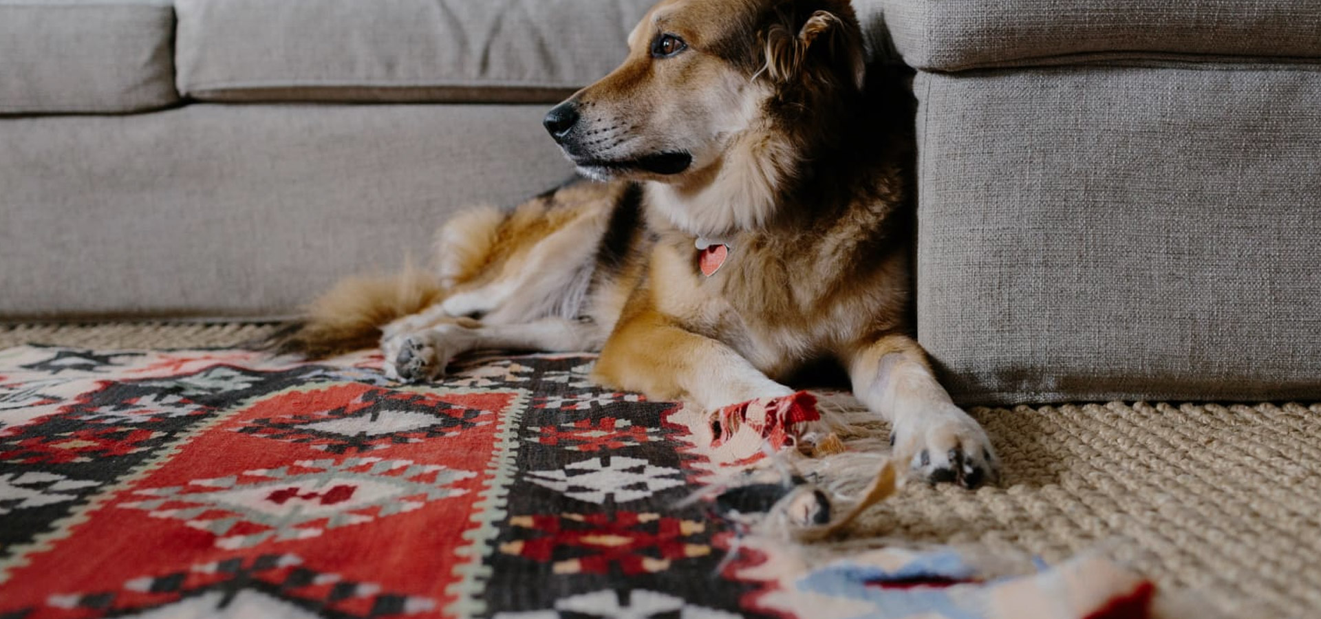 Home Grayson Smith Co.